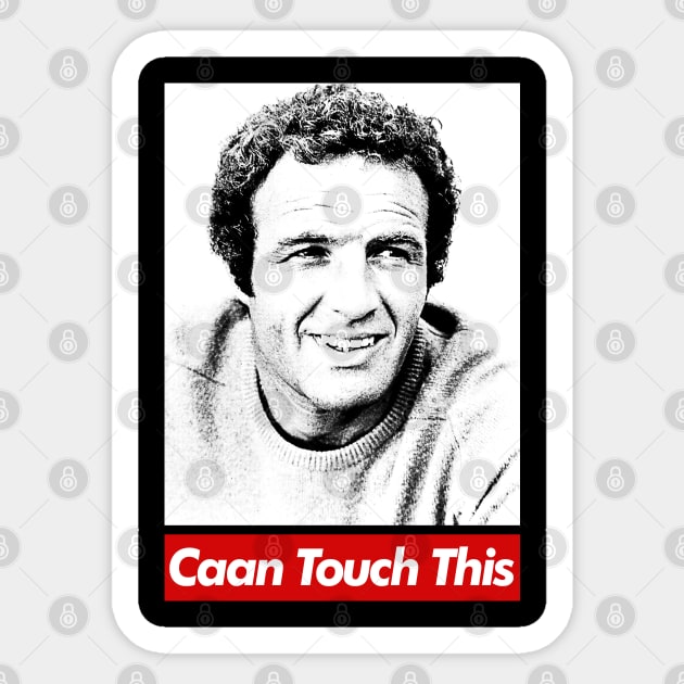 James Caan / Caan Touch This Sticker by DankFutura